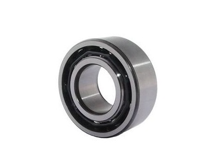 Geminus Row Deep Groove Ball Bearings